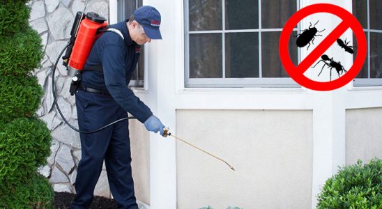 Karapınar Akrep İlaçlama böcek ilaçlama ve haşere kontrolü — ilaclama-tr.com